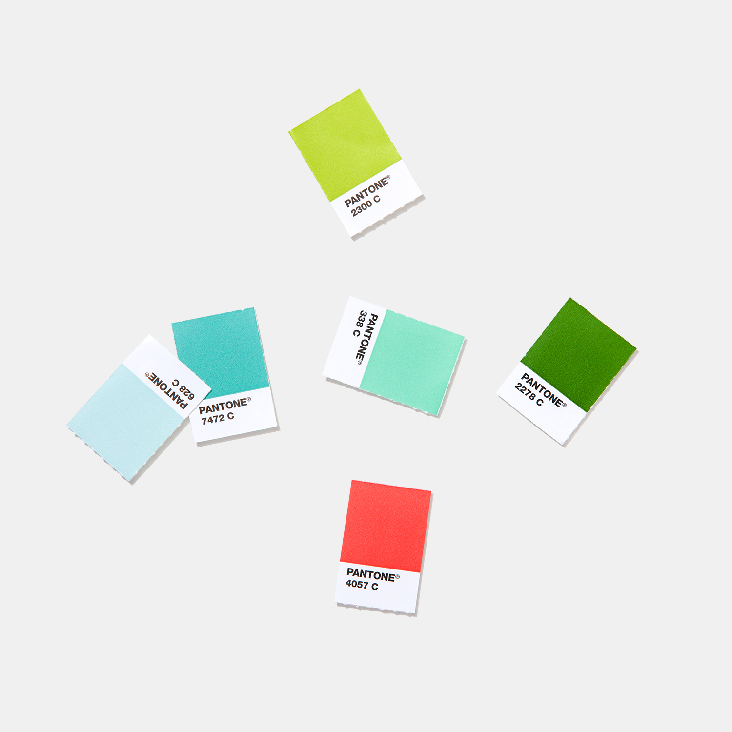 Pantone Solid Chips | Coated & Uncoated