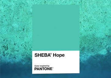 Sheba Hope